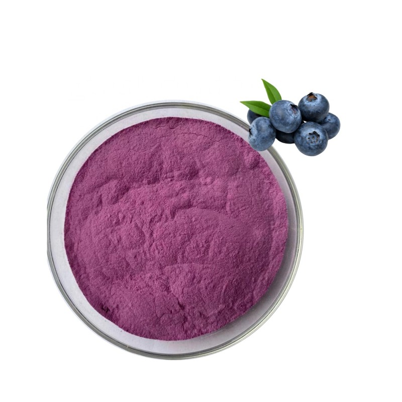 Blueberry Powder Factory - ZD Hot Sale 25% Anthocyanidins Fruit Powder