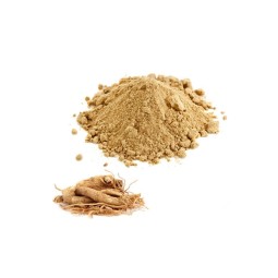 Ginseng Extract Powder Manufacturer - Hot Sale 5%-50% Ginsenosides Bulk