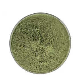 Matcha Powder Manufacturer - Green Tea Extract Joint Bone Health Fast Delivery