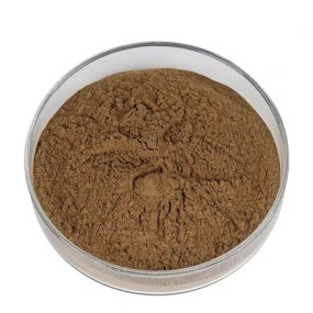 Mushroom Extract Powder Manufacturer - Organic Chaga Lions Mane Cordyceps