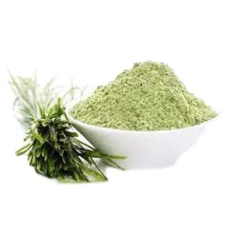 Barley Grass Powder Supplier - Organic Juice Powder Wheatgrass Extract