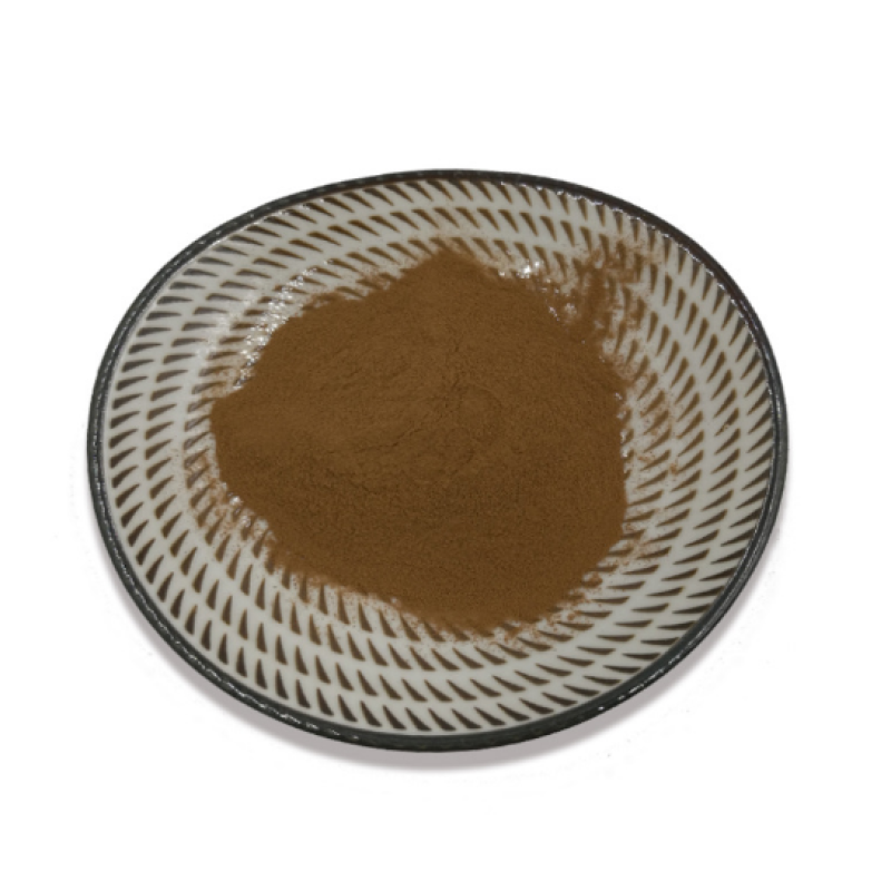 Ganoderma Extract Powder Supplier - Factory Supply 10%-50% Polysaccharides