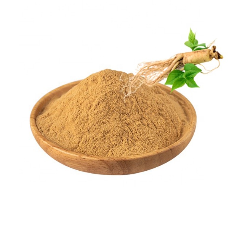 Ginseng Root Extract Manufacturer - Health Care Product 50% Ginsenosides