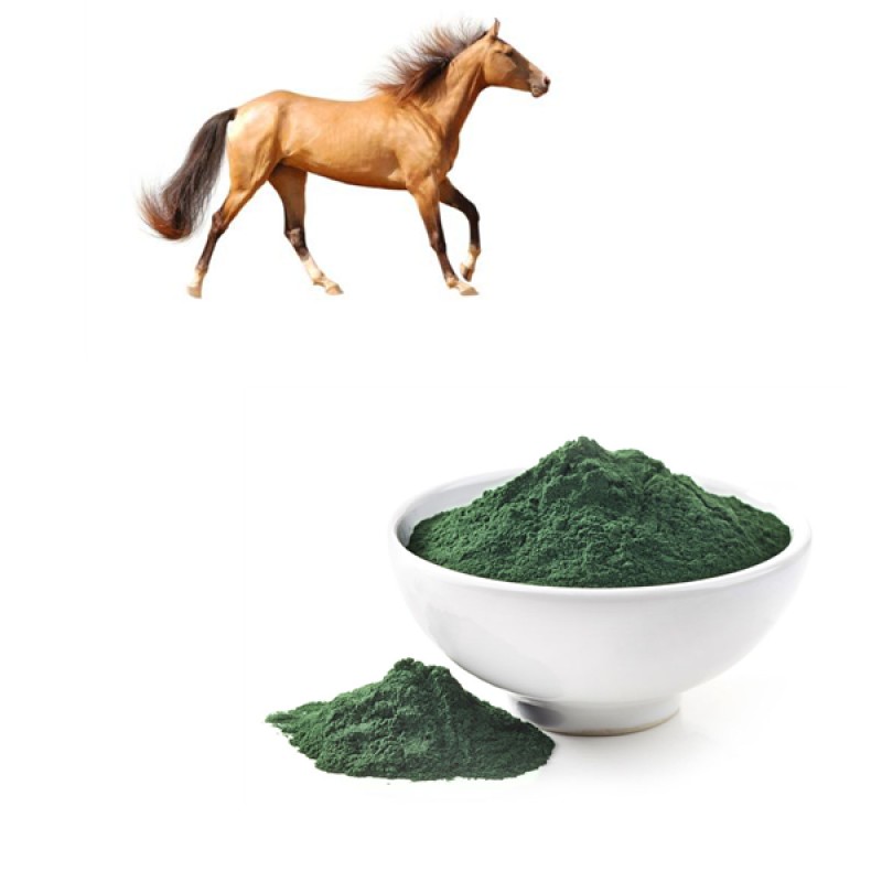 Spirulina Powder Manufacturer - Wholesale Animals Feed Powder