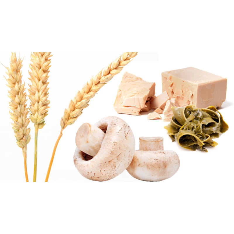 Yeast Beta Glucan Manufacturer - Animal Feed Pure Yeast Glucan