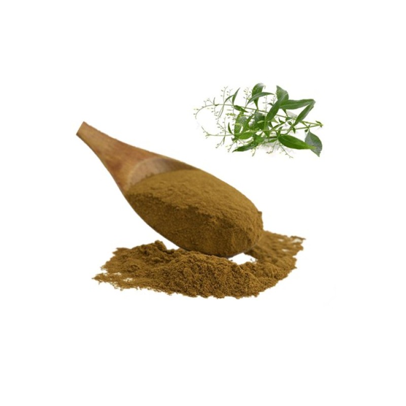 Andrographis Extract Factory - Wholesale Price 10% Andrographolide Powder