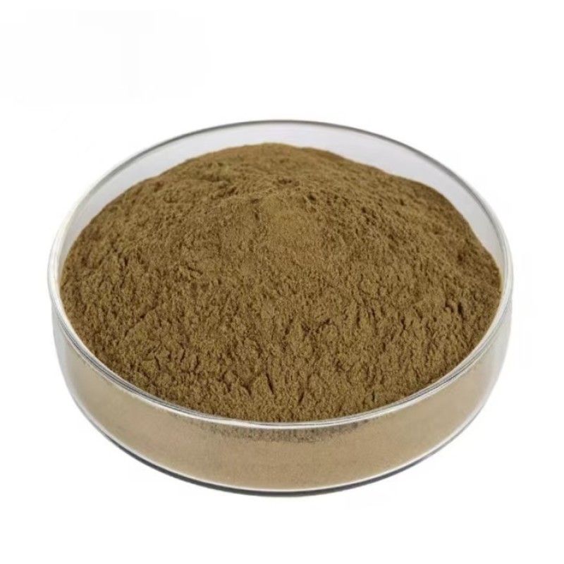 Sophora Japonica Extract Supplier - High Quality Rutin Extract Powder 95%