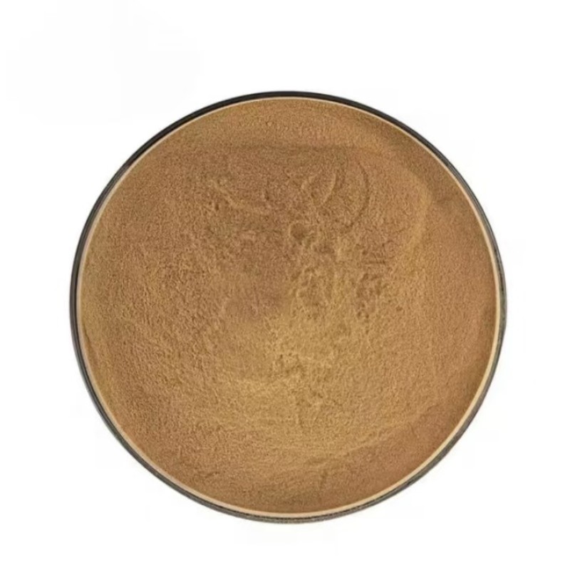 Amla Extract Powder Supplier - Pure Wholesale 30% Polyphenols Powder