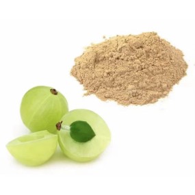 Amla Extract Powder Supplier - Pure Wholesale 30% Polyphenols Powder