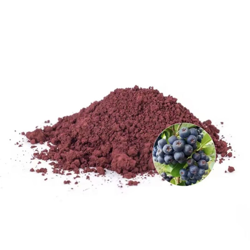 Aronia Berry Extract Manufacturer - 100% Pure Natural Berry Powder