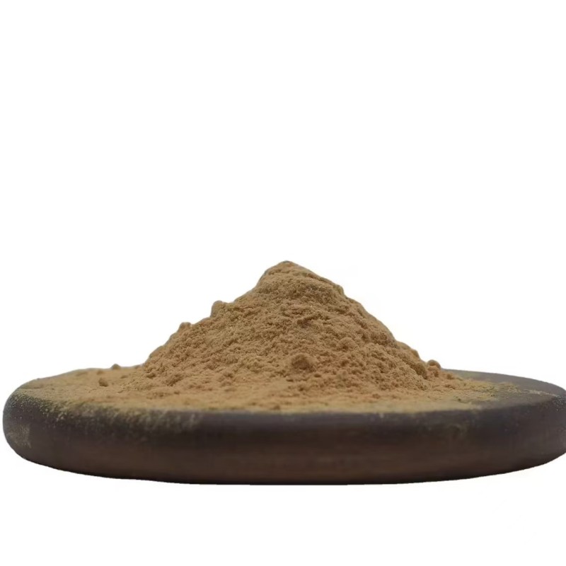 Mushroom Extract Powder Manufacturer - Organic Chaga Lions Mane Cordyceps