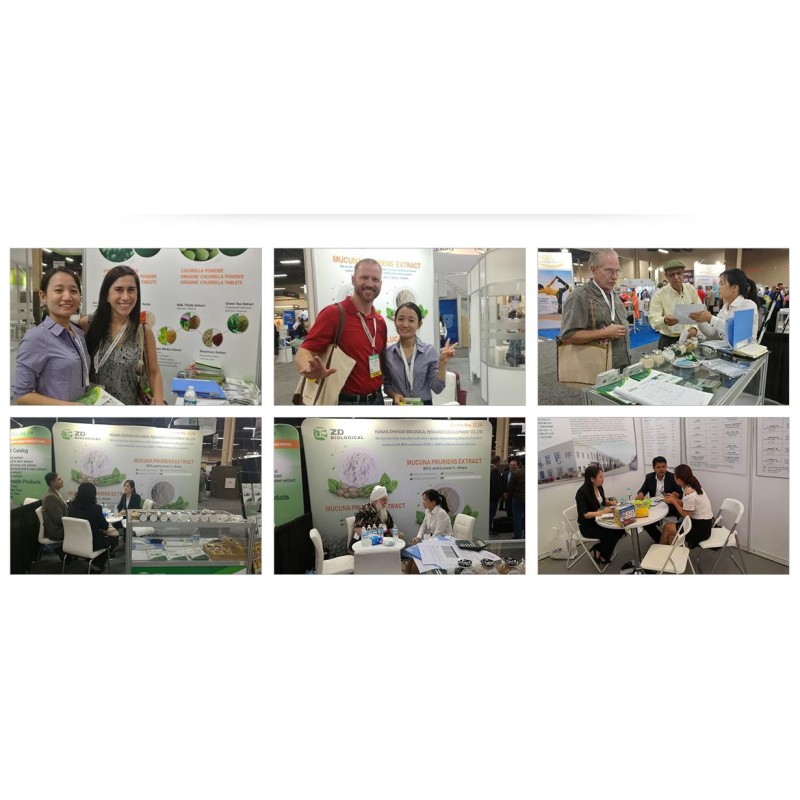 Organic Wheatgrass Powder Supplier - Water Soluble Green Super Food Bulk