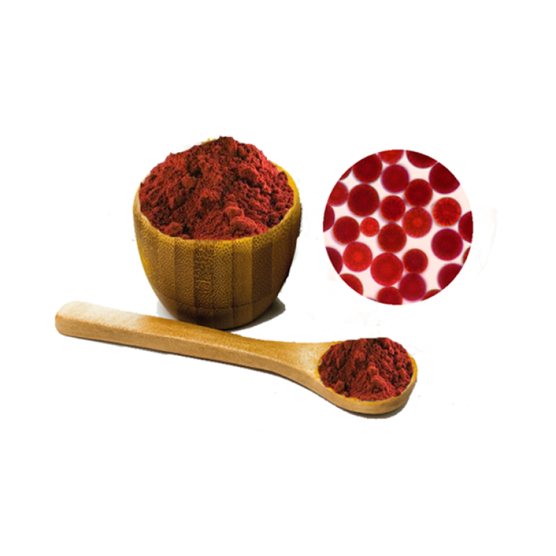Astaxanthin Powder Supplier - High Quality Natural 5%-10% Bulk