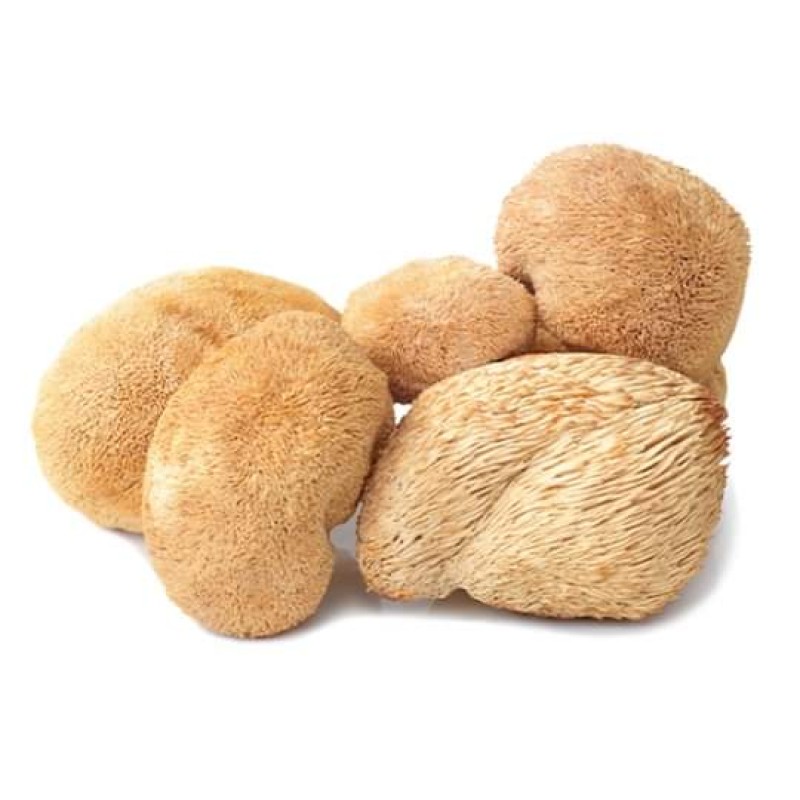 Hericium Erinaceus Extract Manufacturer - Hot Sale 10%-30% Polysaccharide