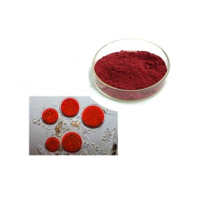 Astaxanthin Powder Supplier - High Quality Natural 5%-10% Bulk