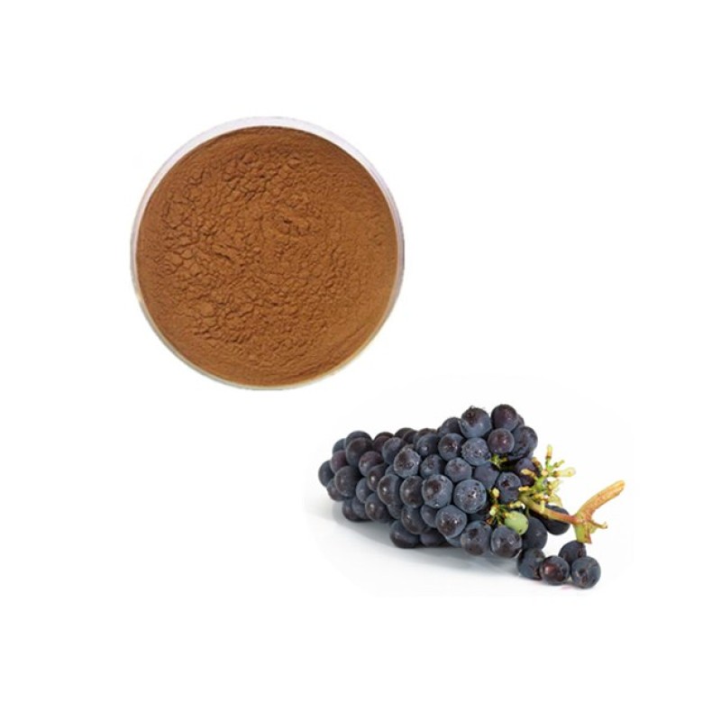 Grape Seed Extract Manufacturer - High Quality Organic 50% Anthocyanins
