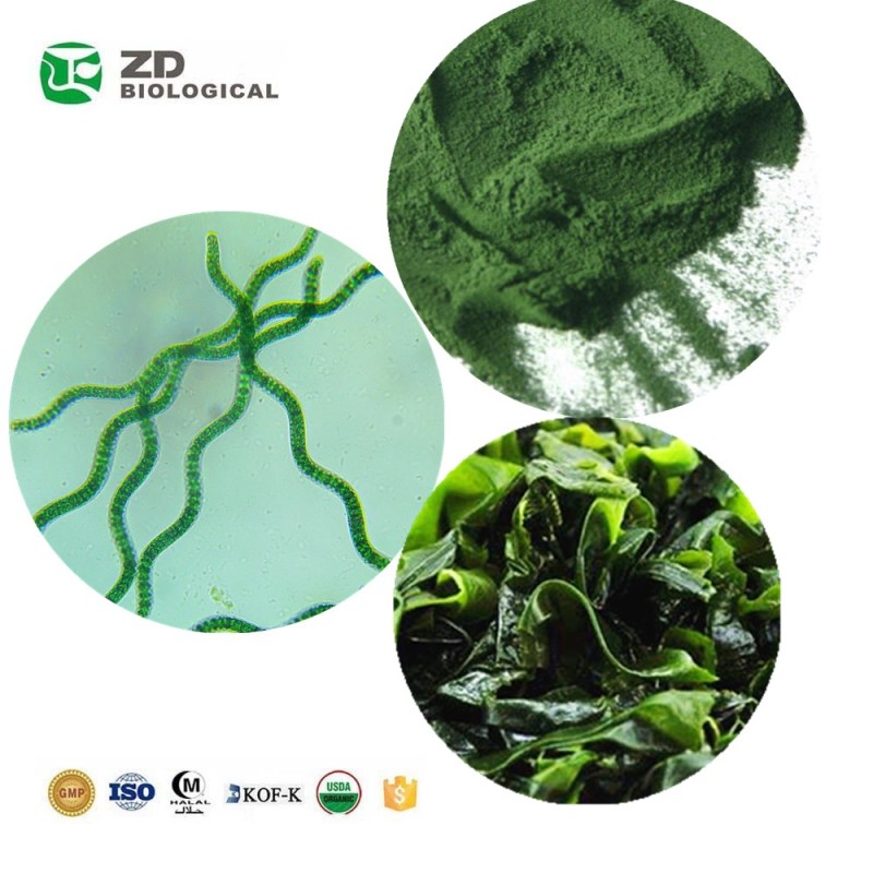 Spirulina Powder Manufacturer - Organic Conventional Food Feed Cosmetic Grade
