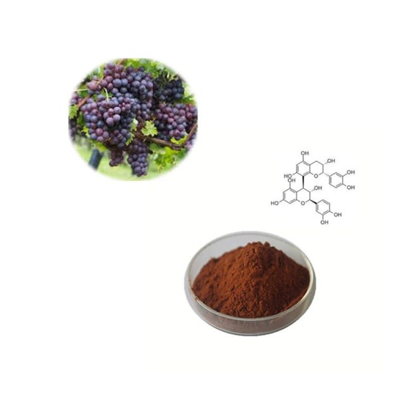 Grape Seed Extract Manufacturer - High Quality Organic 50% Anthocyanins