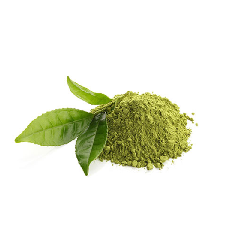 Green Tea Extract Manufacturer - 100% Pure Natural Polyphenols Powder