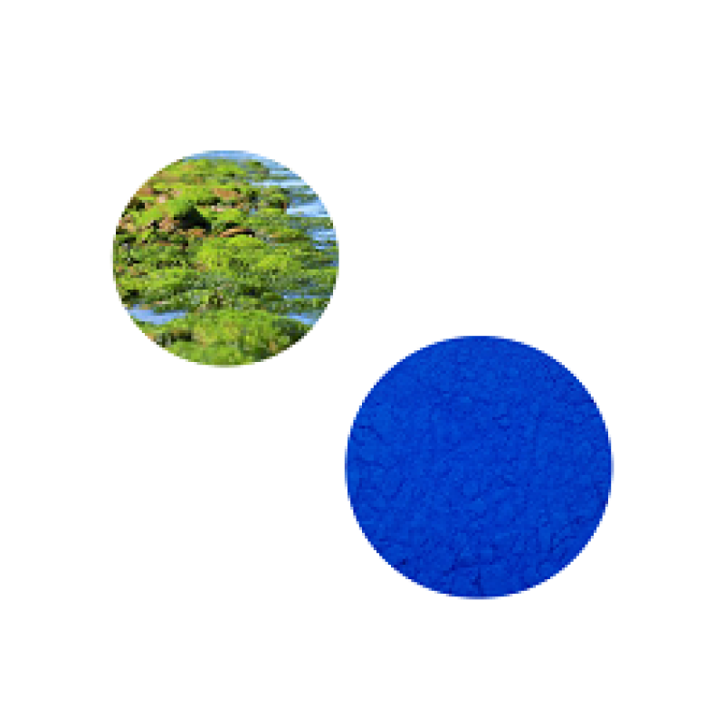 Phycocyanin Supplier - GMP Factory Supply E16-E25 Spirulina Antioxidant