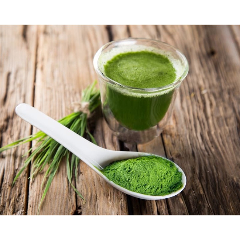 Barley Grass Powder Supplier - Organic Juice Powder Wheatgrass Extract