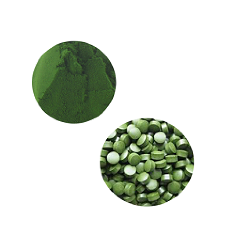 Chlorella Powder Supplier - Organic Free From Contaminants Safe