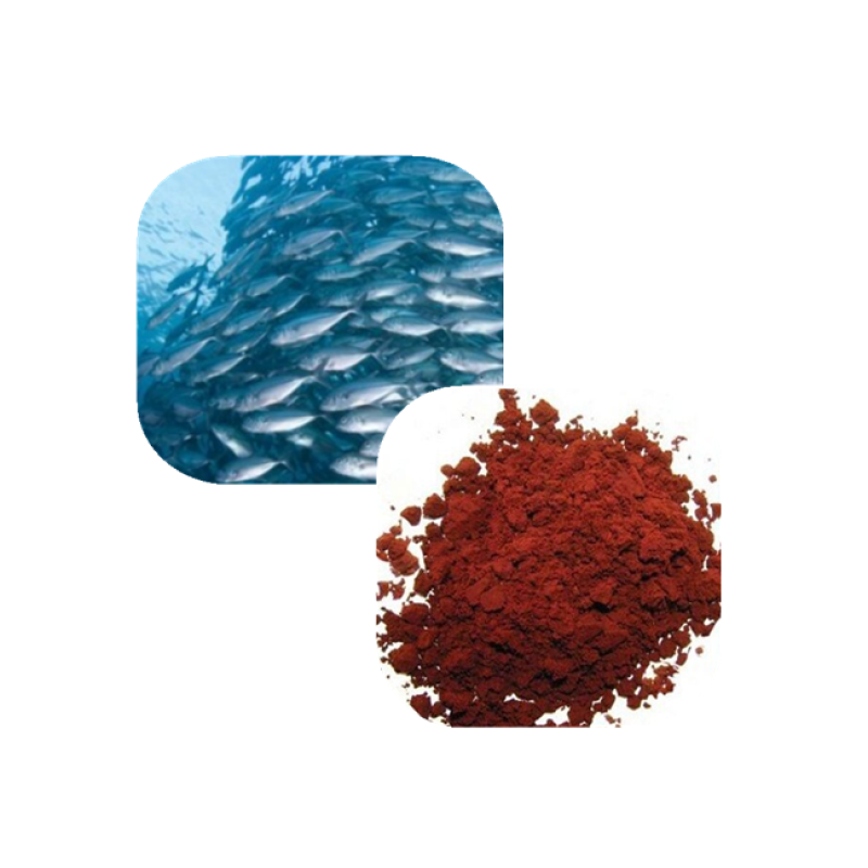 Organic Astaxanthin Powder Factory - Factory Sale 1%-10% for Fish
