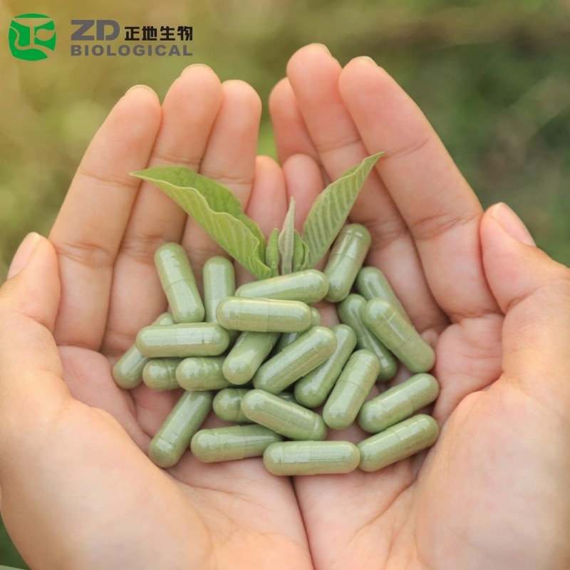 Empty Capsules Manufacturer - OEM Custom Hard Gelatin HPMC Halal Certified