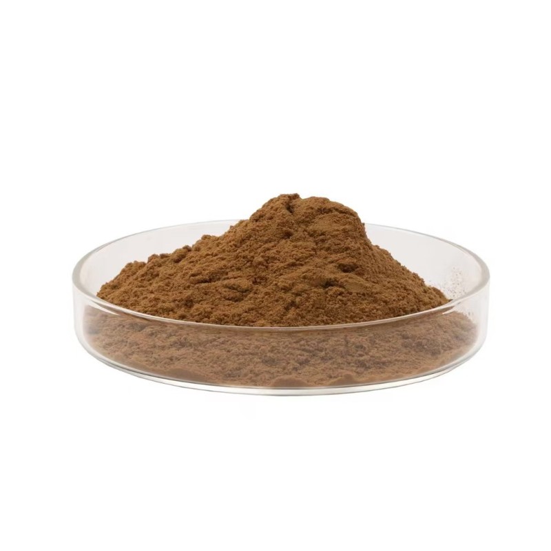 Mushroom Extract Manufacturer - Organic Chaga Lions Mane Cordyceps Powder