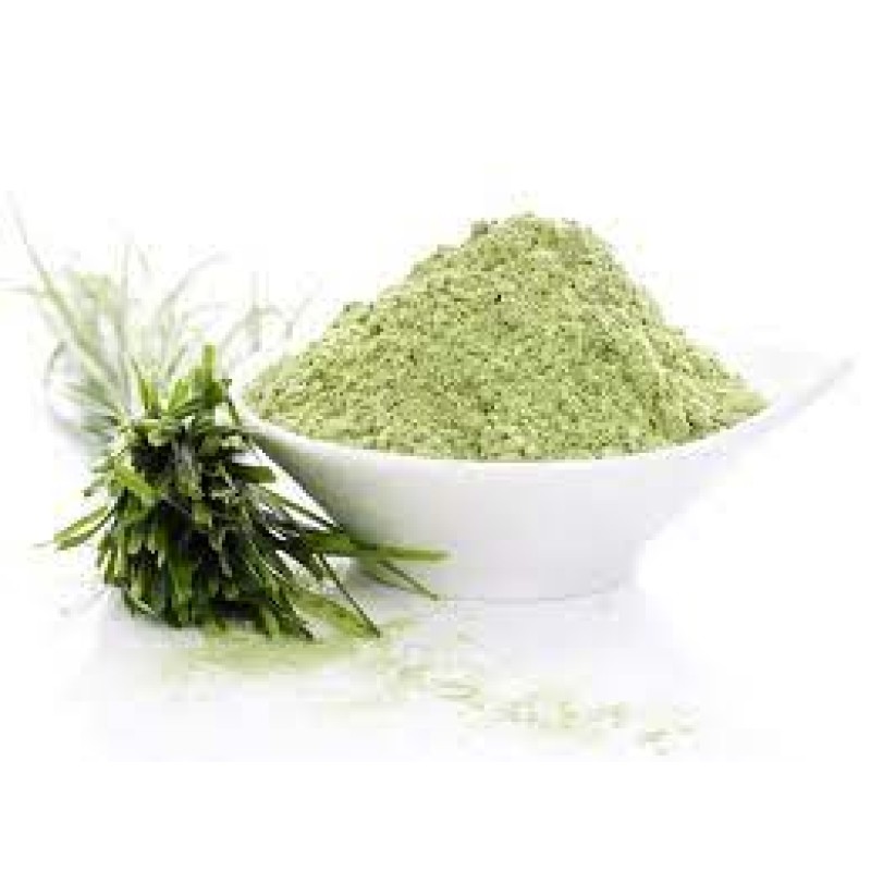 Wheatgrass Powder Manufacturer - Organic Juice Powder Spray Drying Process
