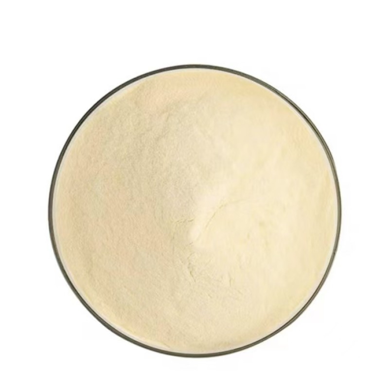 Vegetable Powders Supplier - Garlic Oat Extract Superfood Health Ingredients