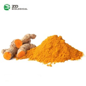 Organic Turmeric Powder Supplier - Factory Outlet Pure Natural Powder