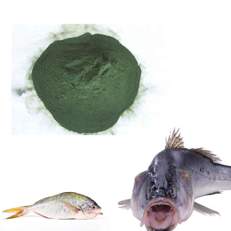 Blue Spirulina Powder Supplier - Top Quality 100% Pure Horse Food