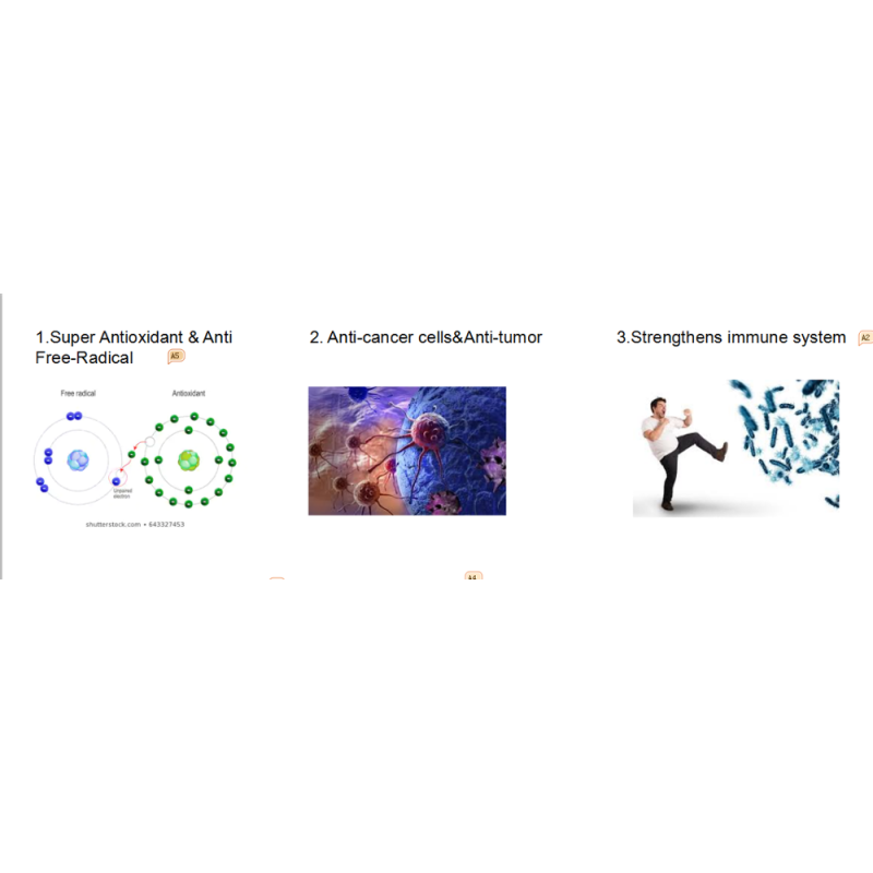 Milk Thistle Extract Factory - Joint Health Supplement 2025 Hot Ingredients