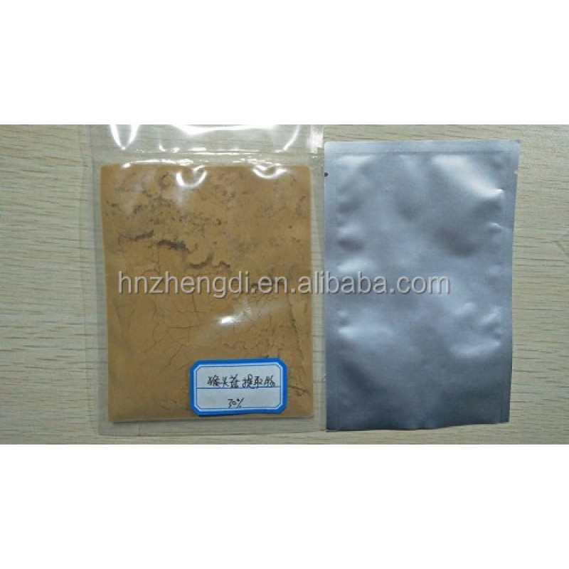 Hericium Erinaceus Powder Factory - Wholesale Extract 20:1-4:1 30%-50%