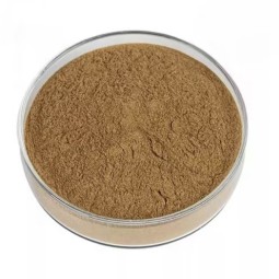 Sophora Japonica Extract Supplier - High Quality Rutin Extract Powder 95%