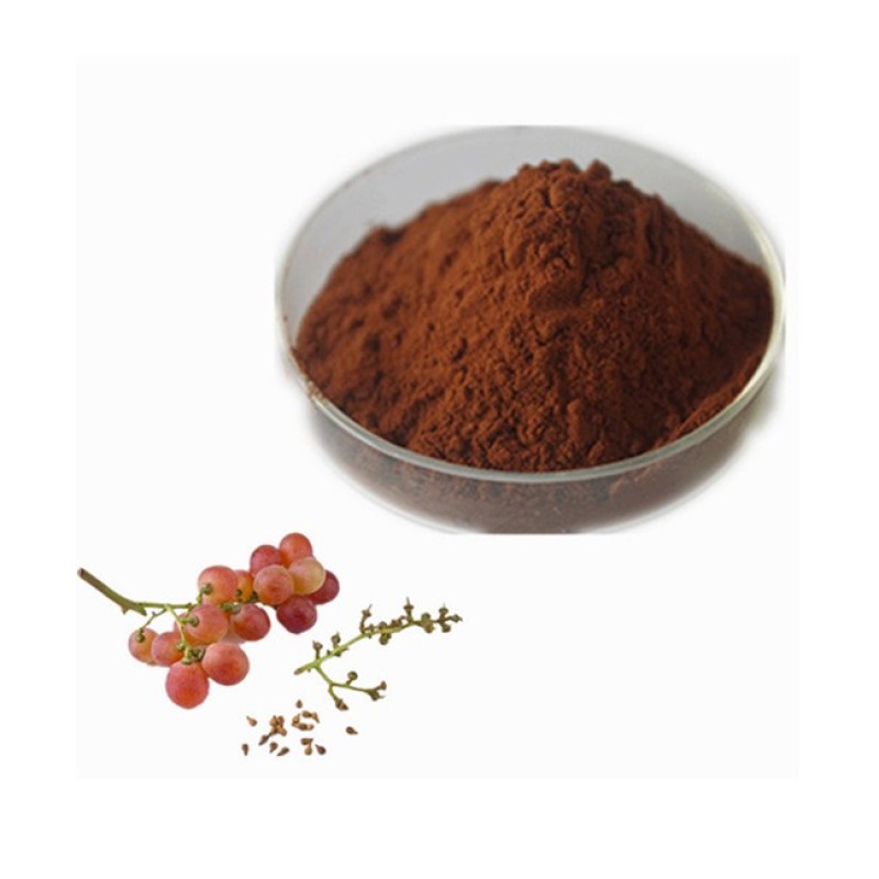 Grape Seed Extract Manufacturer - Pure Natural Organic 95% OPC Procyanidin