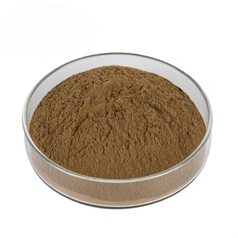 Mushroom Extract Manufacturer - Organic Chaga Lions Mane Cordyceps Powder