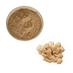 Ginger Extract Powder Manufacturer - Curcumin Turmeric Yellow Multi Specification