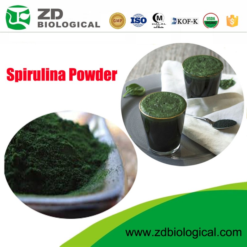 Spirulina Chlorella Powder Factory - Wholesale Marine Algae Extract Powder