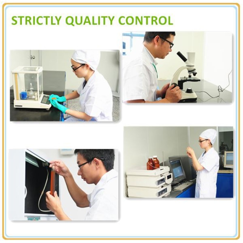 Marine Algae Extract Supplier - Wholesale Blue-Green Algae Spirulina Chlorella