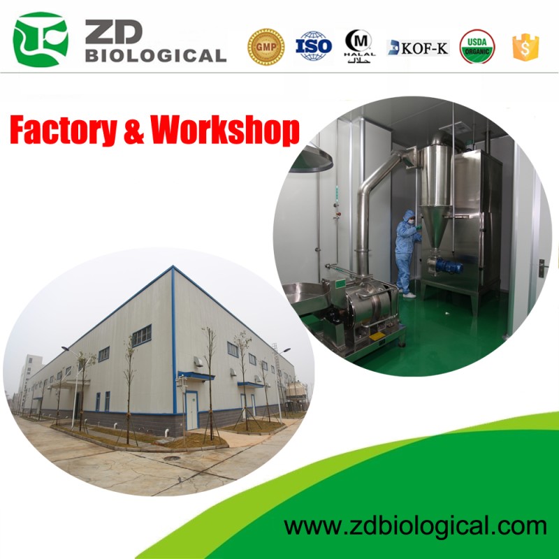 Barley Grass Powder Factory - 100% Water Soluble Organic Juice Powder