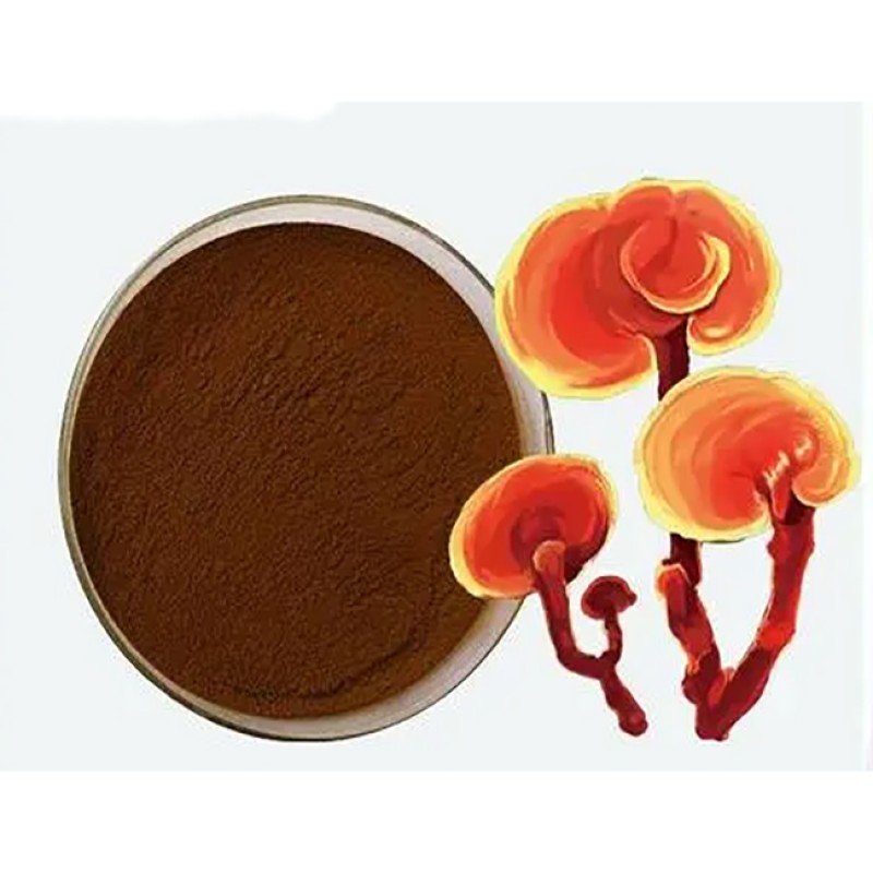 Ganoderma Extract Powder Supplier - Factory Supply 10%-50% Polysaccharides