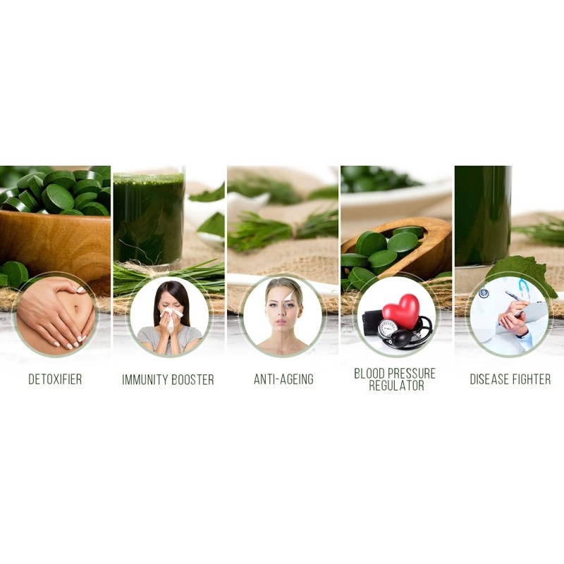 Spirulina Powder Tablet Factory - Organic 250mg-500mg Tablet Powder