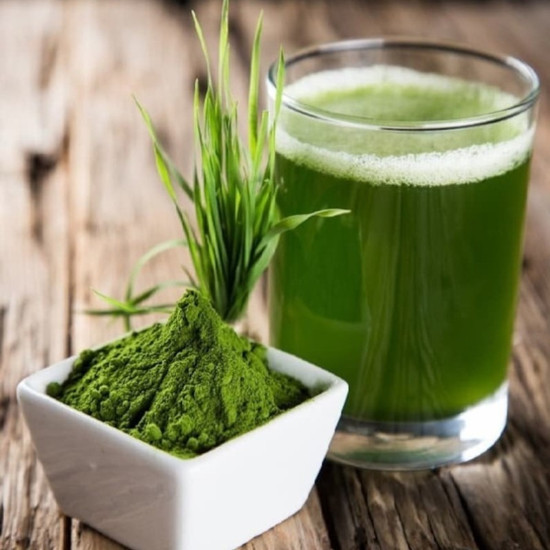 Barley Grass Powder Factory - 100% Water Soluble Organic Juice Powder