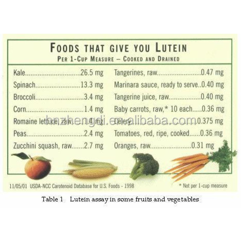 Aronia Berry Extract Manufacturer - 100% Pure Natural Berry Powder