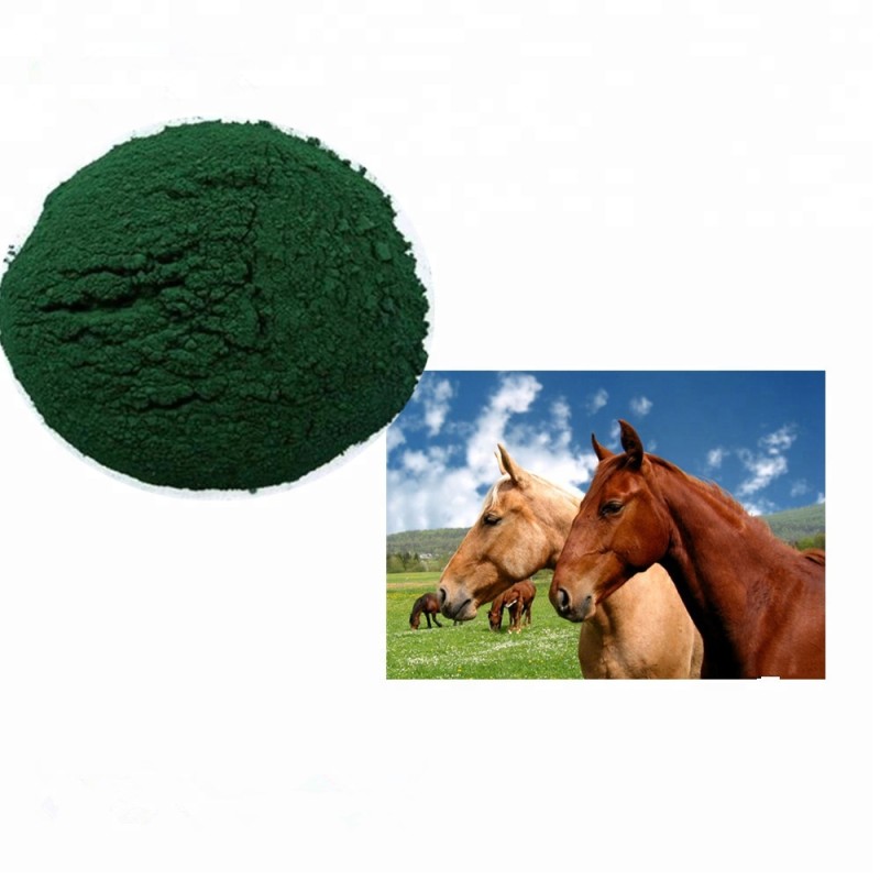 Spirulina Chlorella Powder Supplier - ZD Factory Bulk Sell Animal Food