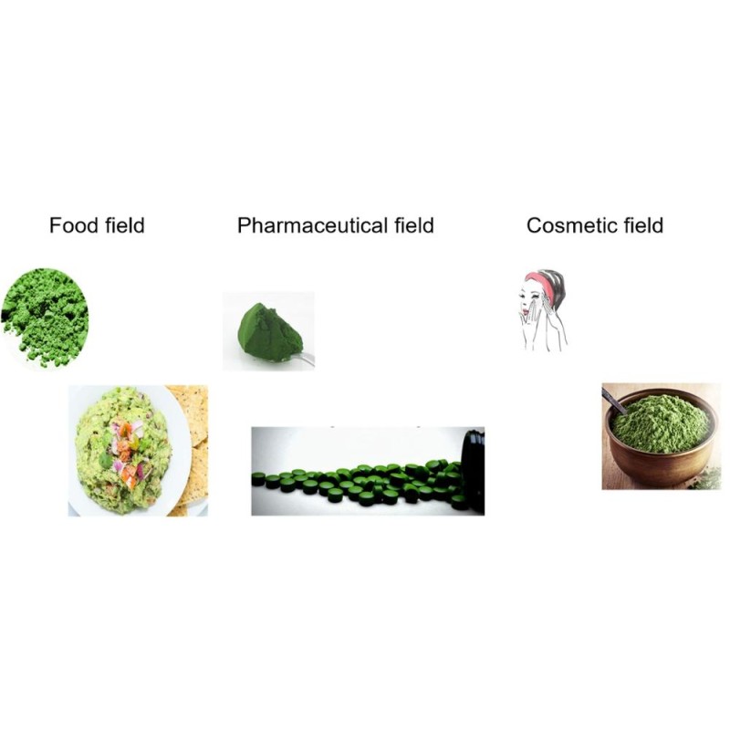 Chlorella Powder Supplier - Factory Supply Organic Conventional Super Food