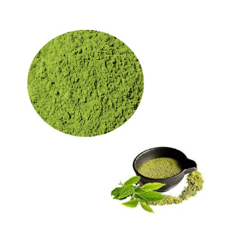 Green Tea Extract Manufacturer - 100% Pure Natural Polyphenols Powder