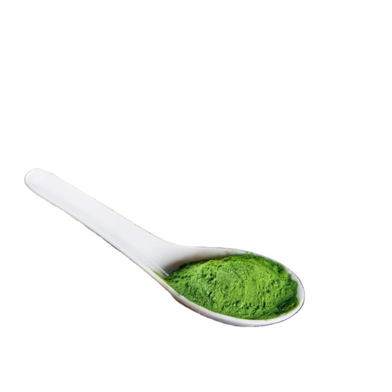 Wheatgrass Powder Manufacturer - Organic Juice Powder Spray Drying Process